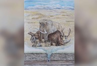 Mamutes e grandes animais da Era do Gelo viveram por mais tempo do que se pensava