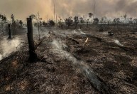 Comissão do Senado aprova projeto para prorrogar pagamento de dívidas rurais em áreas de calamidade