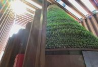 Expo Dubai 2020 destaca soluções sustentáveis; veja os pavilhões
