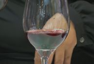 Feira de vinhos em São Paulo reúne mais de 350 marcas mundiais