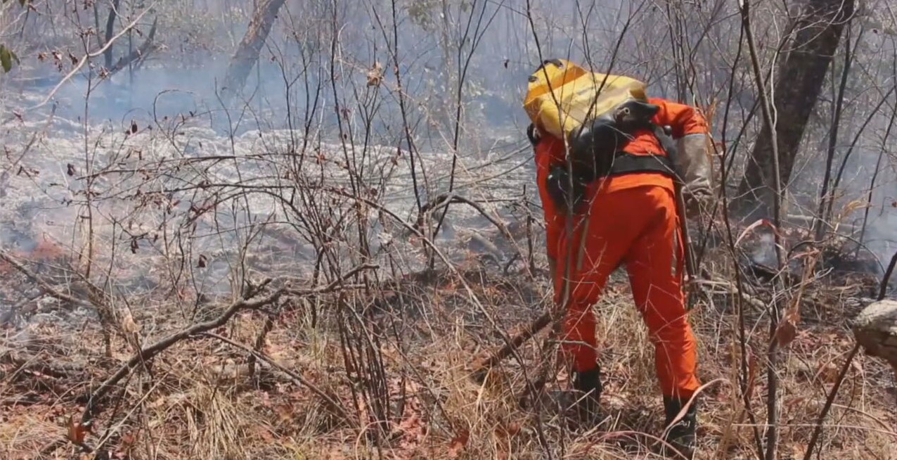Combate aos incêndios florestais continua em 18 cidades da Bahia