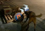 PF realiza a maior apreensão de cocaína da história do Rio de Janeiro