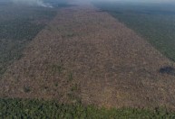 Governo realizará evento de mercado de carbono no Rio em 2022, diz ministro à CNN