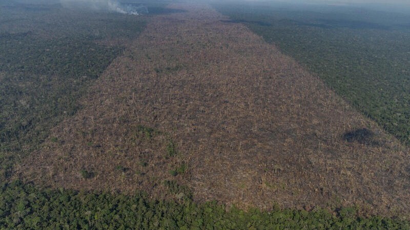 Desmatamento na Amazônia pode afetar produção e exportação de produtos agrícolas / Victor Moriyama/Amazônia em Chamas/Divulgação Greenpeace