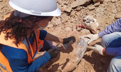 Obra em rodovia revela mais fósseis de dinossauros no interior de São Paulo
