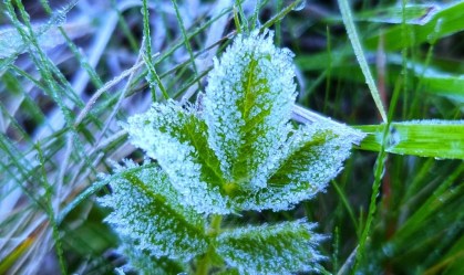 Geada Santa Catarina