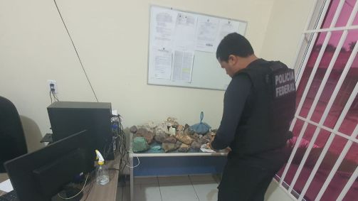 Operação da PF combate extração ilegal de ouro no Pará