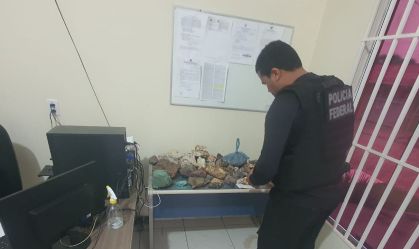 Operação da PF combate extração ilegal de ouro no Pará