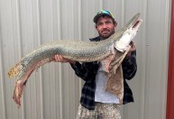 “Fóssil vivo”, peixe-jacaré é encontrado pela 1ª vez em rio do Kansas, nos EUA