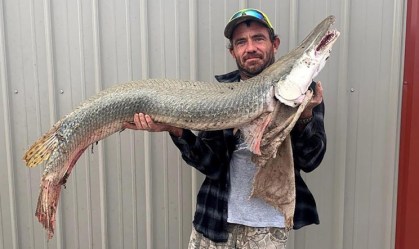 "Fóssil vivo", peixe-jacaré é encontrado pela 1ª vez em rio do Kansas, nos EUA