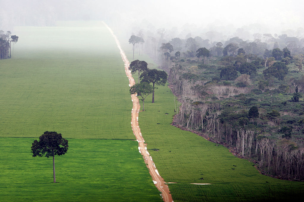 Plantação de soja na Amazônia