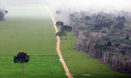 Plantação de soja na Amazônia