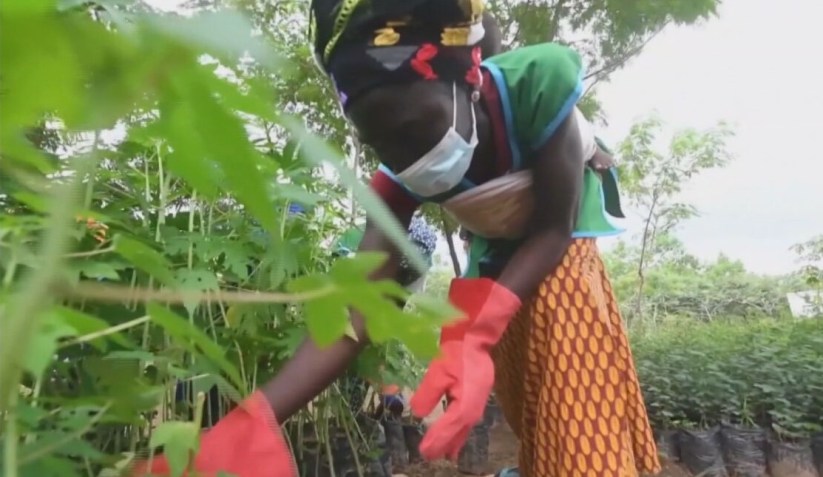 Falta de fertilizantes da China não vai causar desabastecimento, explica pesquisador / CNN / Reprodução