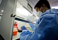 Subvariante BA.2 pode ser mais severa que a Ômicron, indica novo estudo