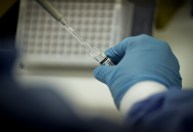 Brasil investiga quatro casos suspeitos de gripe aviária em humanos