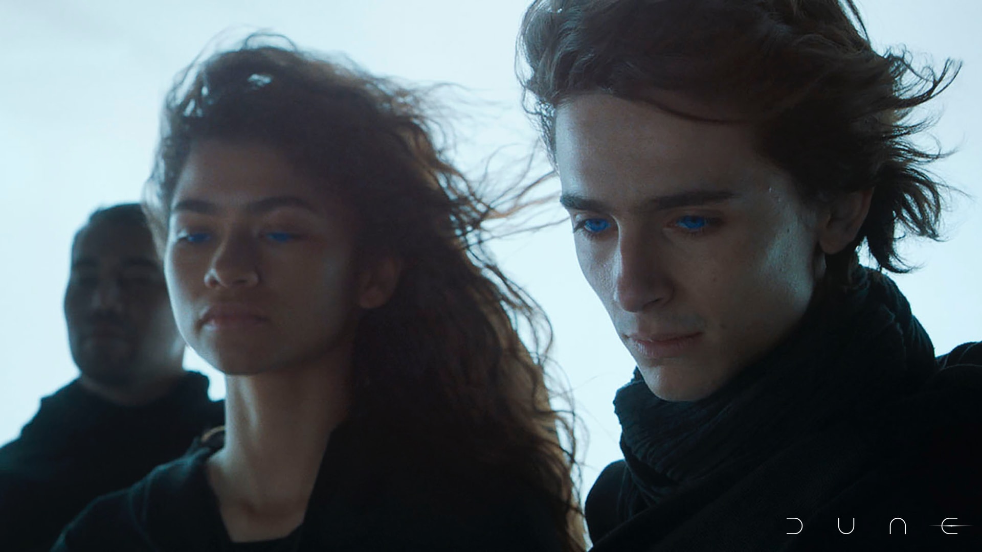 dune_image (13)