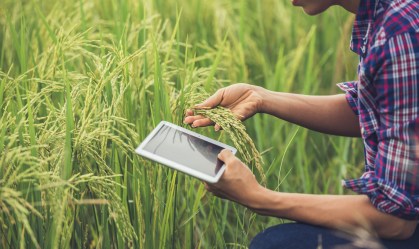Conexão Agro: Tecnologia auxilia na gestão da propriedade rural