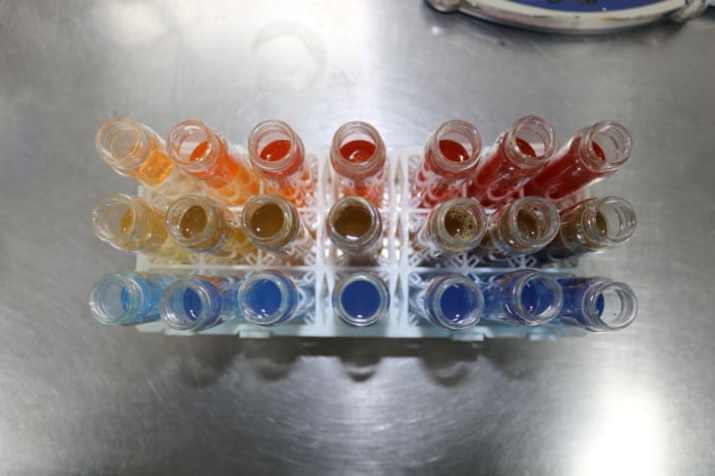 A Algaeing desenvolveu uma fórmula patenteada à base de algas em seu laboratório em Israel / Tammy Bar Shay/Algaeing