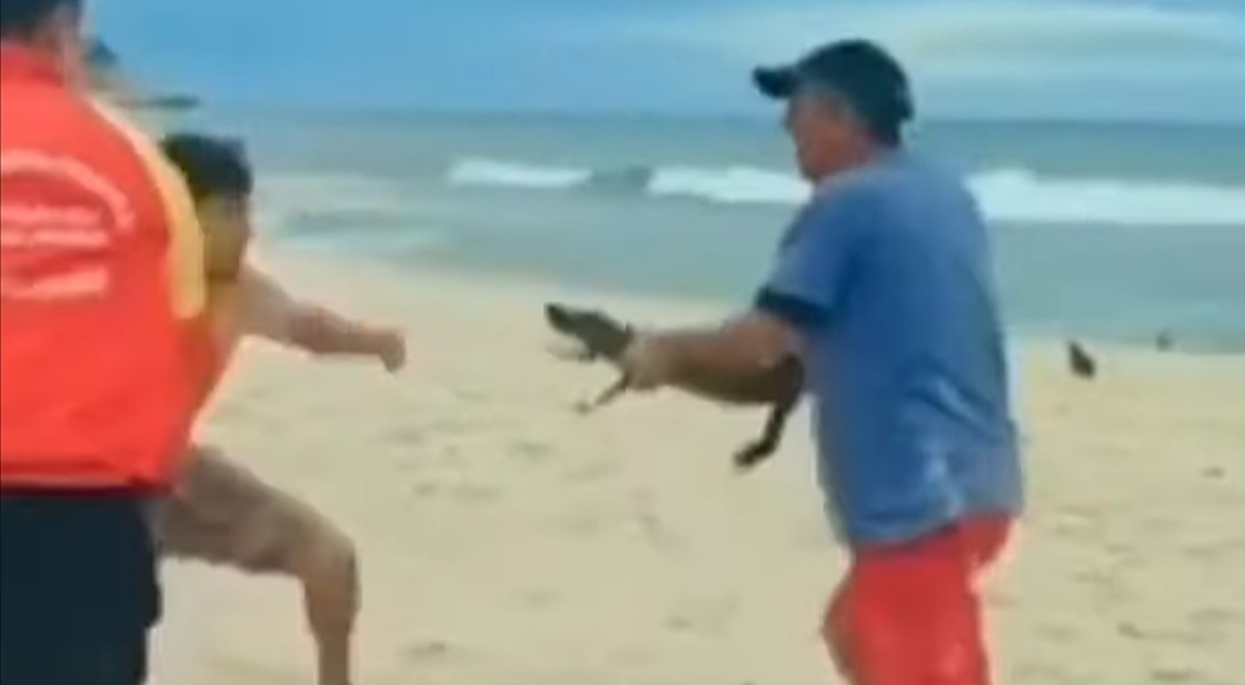 jacare-arma-rio