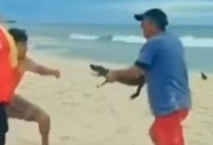 Filhote de jacaré vira “arma” de briga em praia do Rio de Janeiro