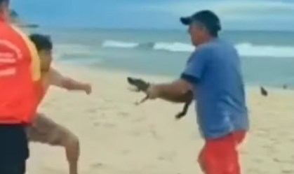 jacare-arma-rio