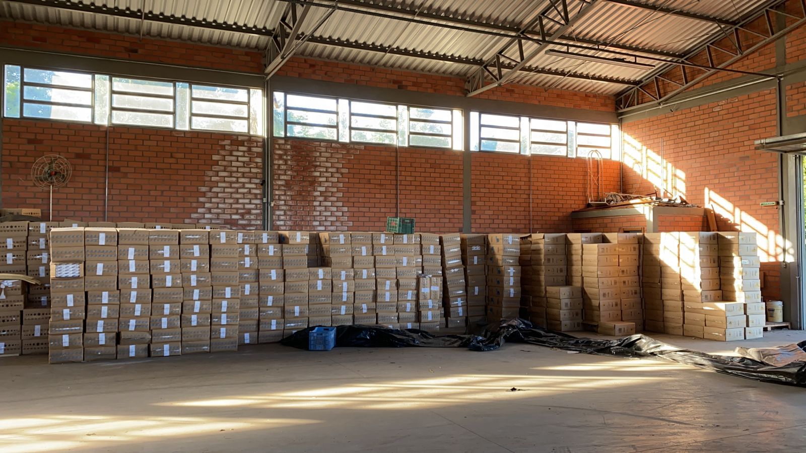 Também foram executados o sequestro de 56 veículos, 13 imóveis e valores em contas de até o valor de R$ 600 milhões