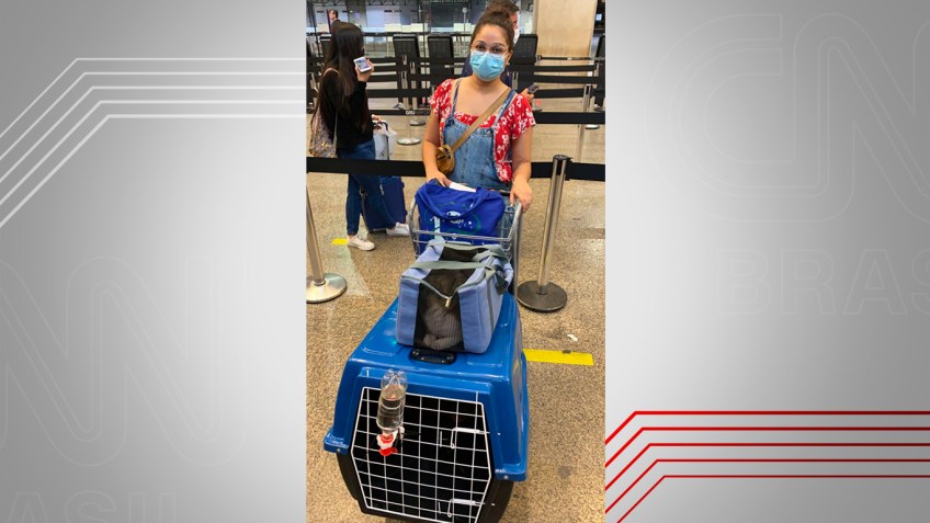 Jessica Mota viajou de São Paulo a Belém com animais de estimação / Arquivo Pessoal/ Jessica Mota