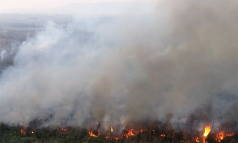 Incêndios no Pantanal