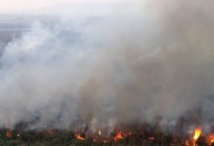Projeto une tecnologia e educação para evitar incêndios no Pantanal