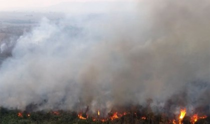Incêndios no Pantanal