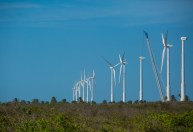 Nordeste bate novo recorde de geração de energia eólica, aponta ONS