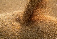 Demanda aquecida por commodities gera benefícios e desafios ao Brasil