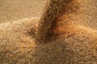 BC: Índice de Commodities cai 0,52% em agosto
