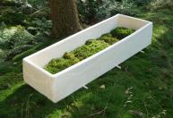 Caixão de fungos aparece como alternativa para “morte sustentável” e sem emissões