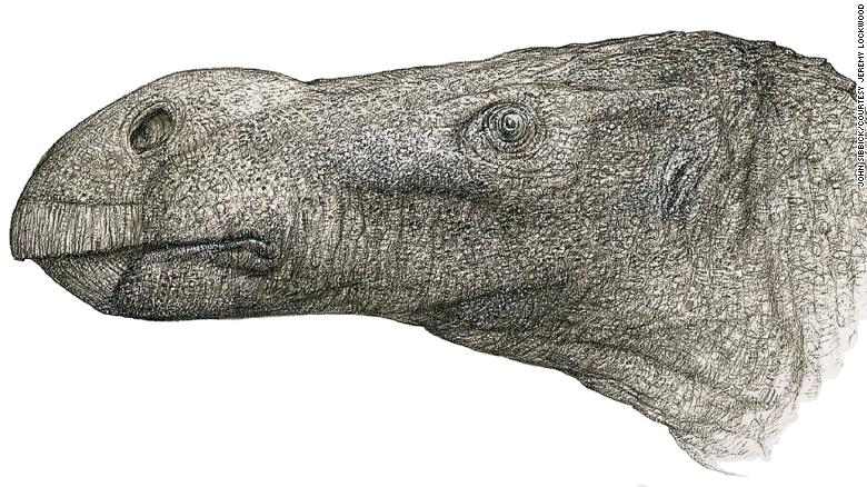 211110175132-02-new-dinosaur-species-1110-exlarge-169