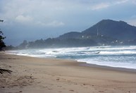 Ataque de tubarão em Ubatuba pode ser efeito de mudança climática, diz pesquisador