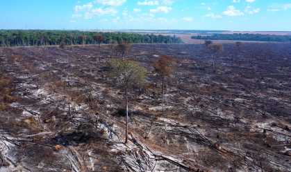 Expedição do artista Thiago Mundano registrou o avanço do agronegócio sobre a floresta amazônica em Mato Grosso