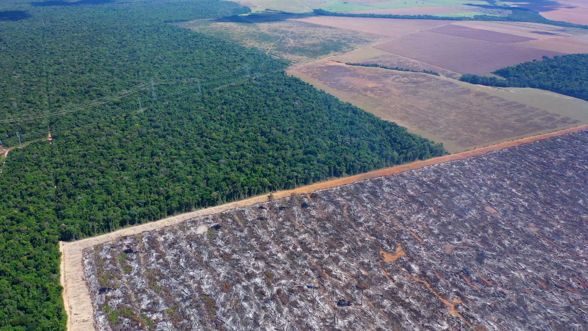 Expedição do artista Thiago Mundano registrou o avanço do agronegócio sobre a floresta amazônica em Mato Grosso