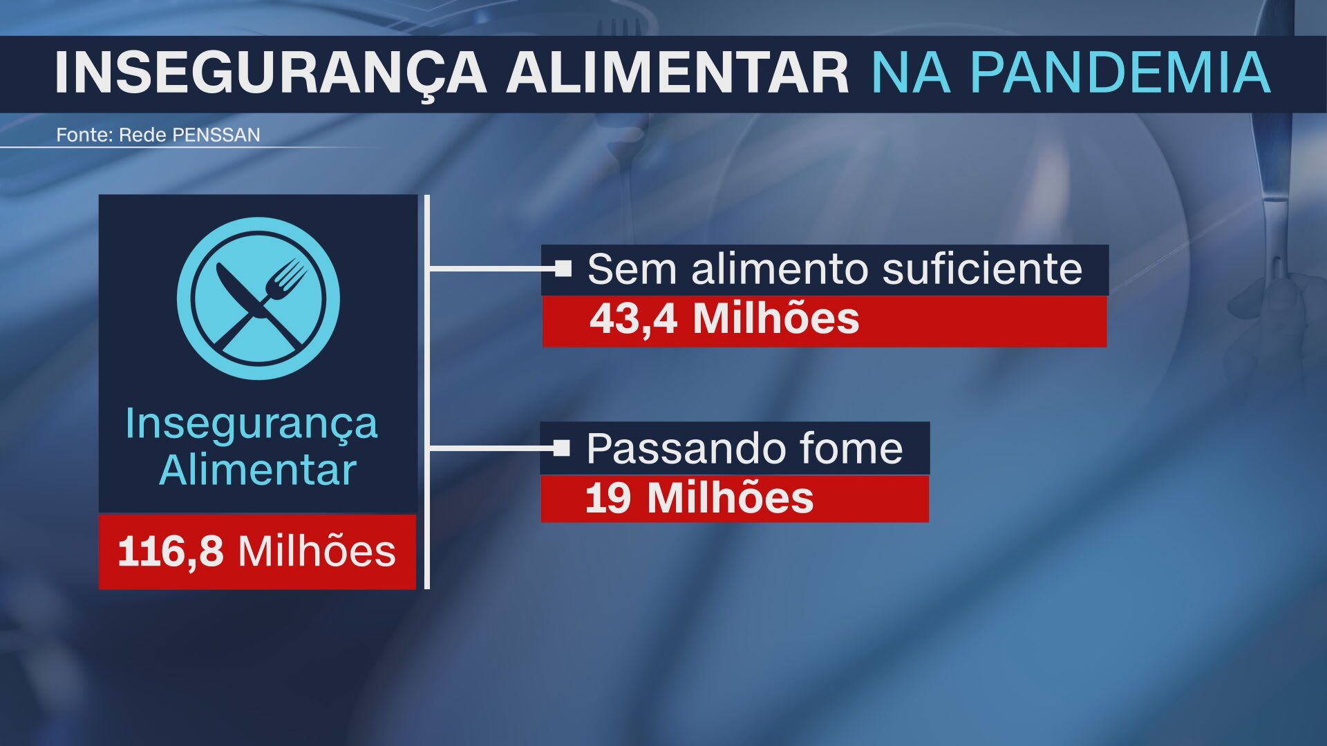 Gráfico mostra a Insegurança Alimentar no país / CNN/Reprodução