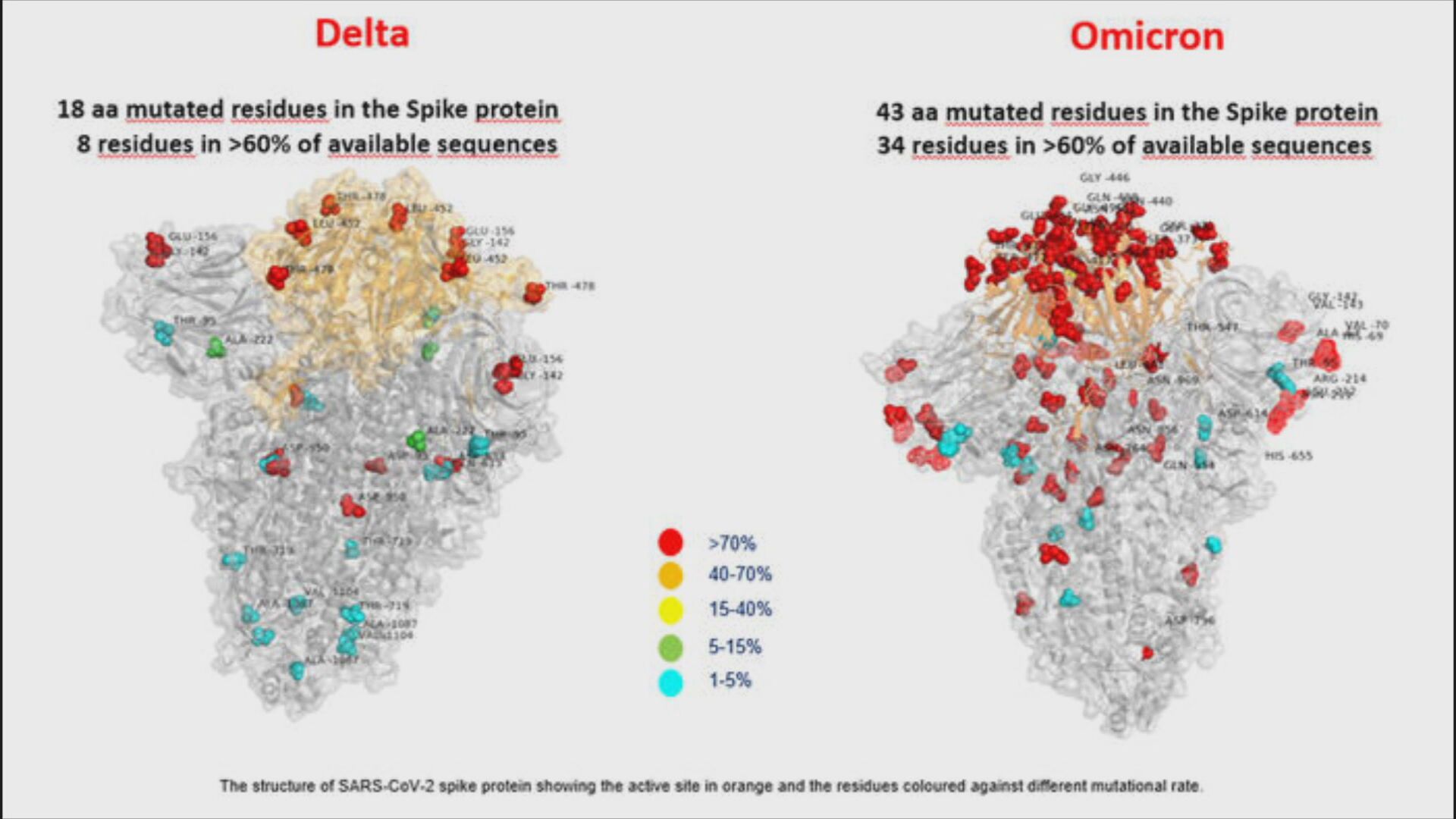 Comparação do número de mutações da variante Delta e da variante Ômicron. / Reprodução/CNN