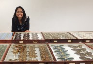 Colombiana é guardiã da maior coleção de borboletas do mundo