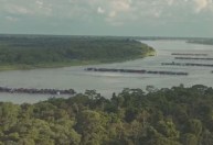 PF faz operação no Amazonas contra garimpo ilegal; prefeito de Jutaí é um dos alvos