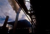 COP26: Entenda como funciona o mercado de crédito de carbono