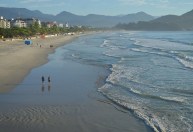 Probabilidade de ataques de tubarão é baixa, mas devemos vigiar, diz oceanógrafo