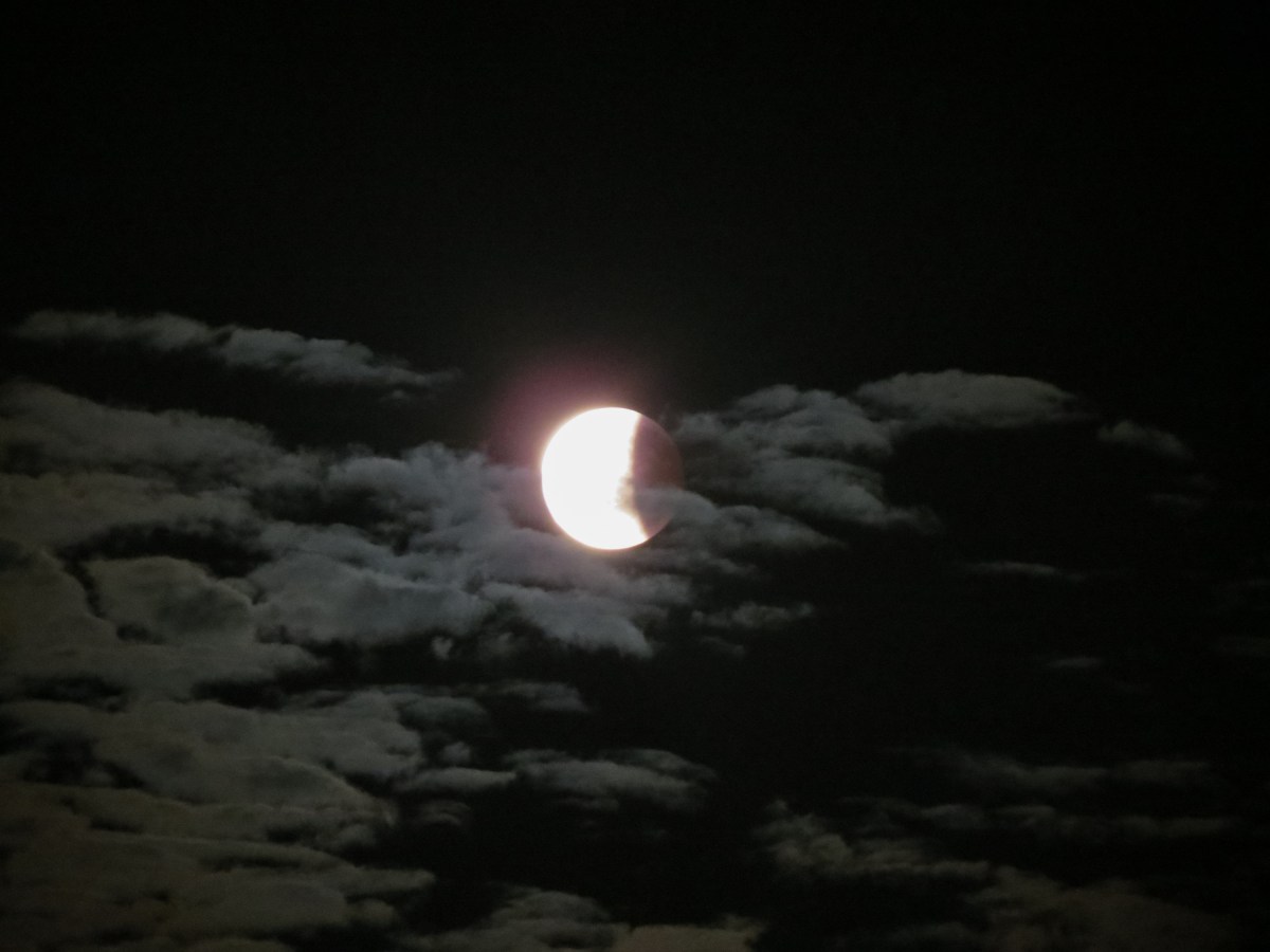 Eclipse lunar no Brasil: data, horário e onde observar