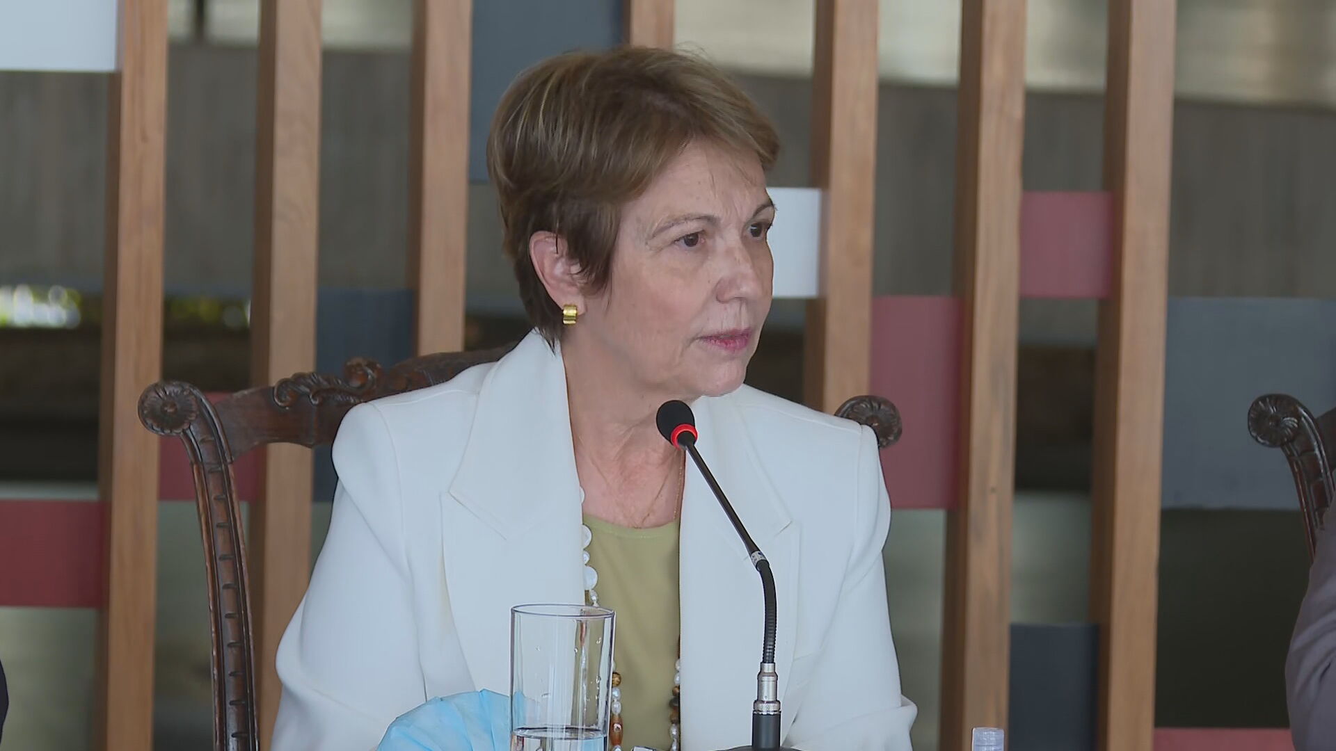 Tereza Cristina - ministra da Agricultura