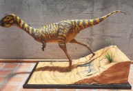 Brasileiros descobrem nova espécie de dinossauro no interior do Paraná