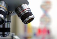 Como a medicina regenerativa pode mudar as perspectivas de envelhecimento