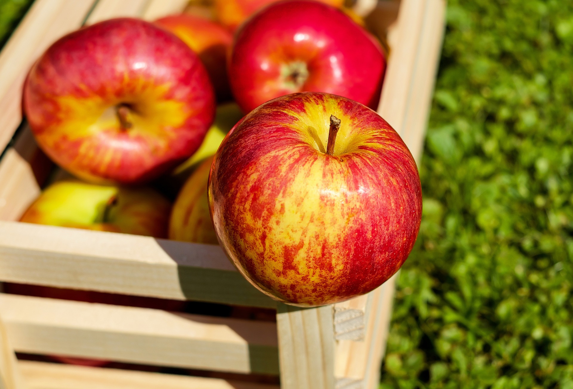 apple-g632b2955c_1920