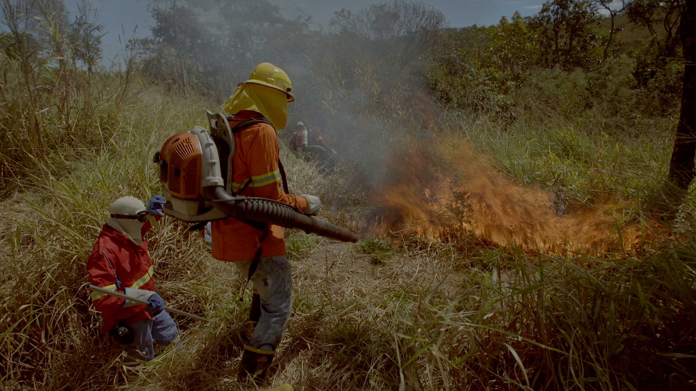 Bombeiros tentam apagar incêndio no Cerrado